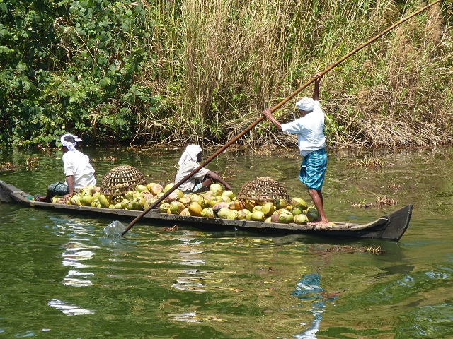 Fracht mit Kokosnüssen-Familienbetrieb